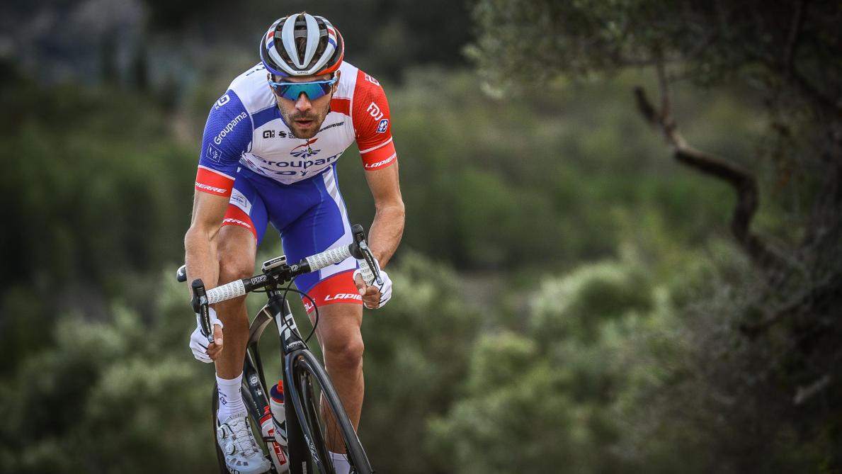 Velo pinot best sale
